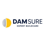 Damsure Logo